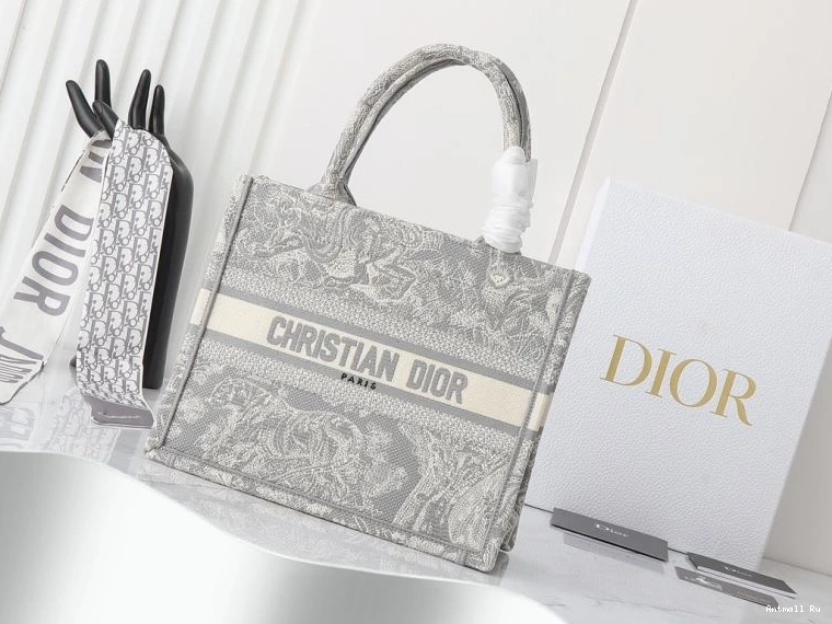 Bags Dior Shopping ModernLook 87649 Christian 0729